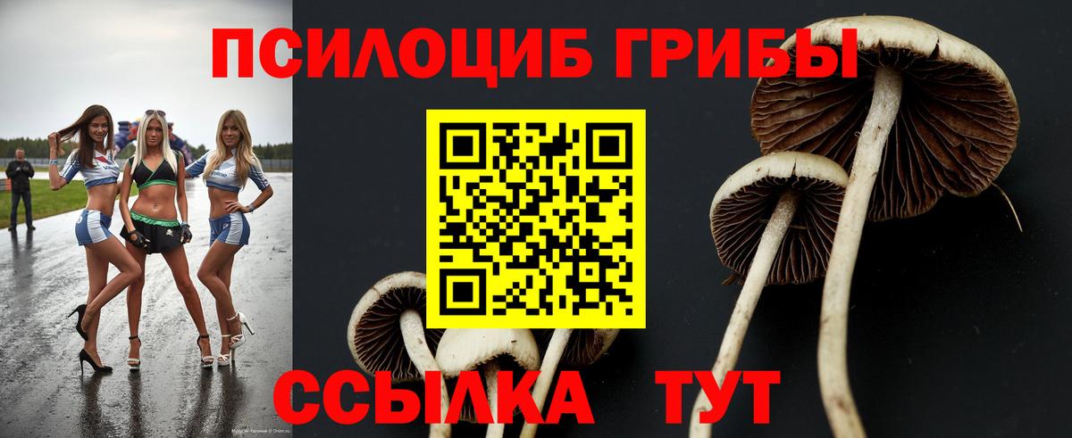 хочу наркоту  Галлюциногенные грибы Psilocybe  Галлюциногенные грибы MAGIC MUSHROOMS  Вход с VPN  Кольчугино 